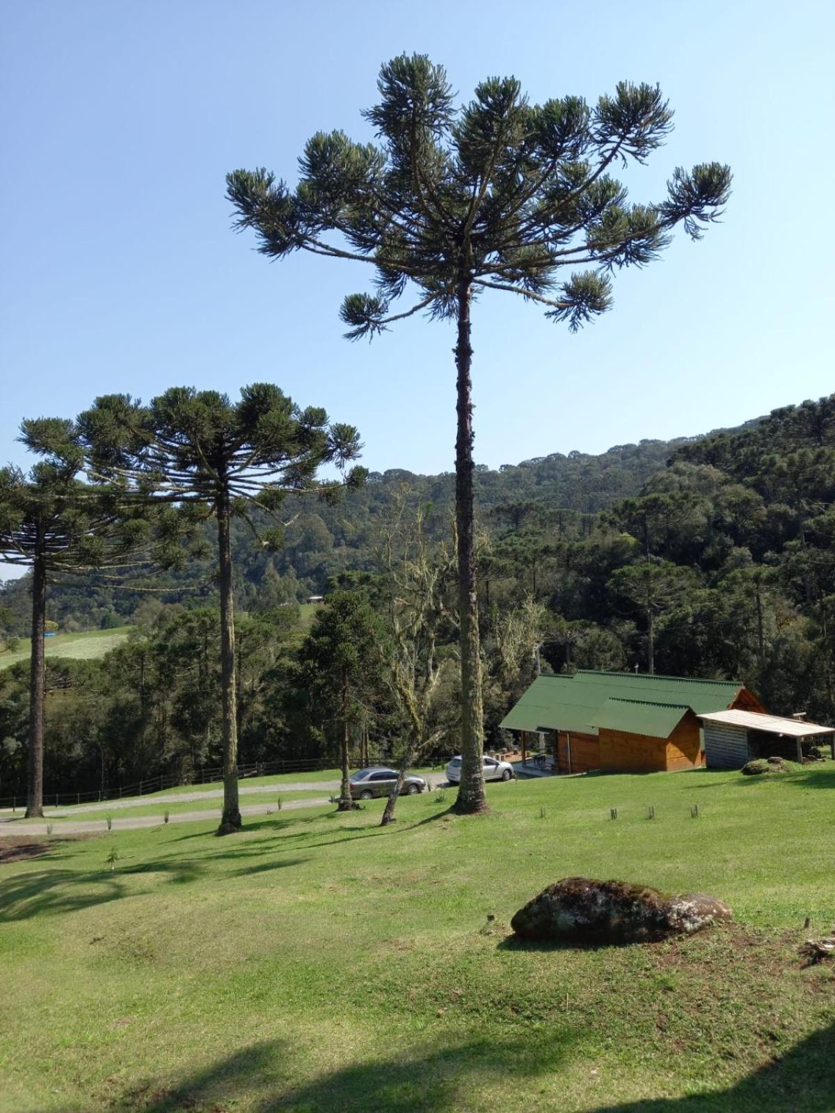 Casa De Campo Quinta Do Vale - Familia Urubici Buitenkant foto